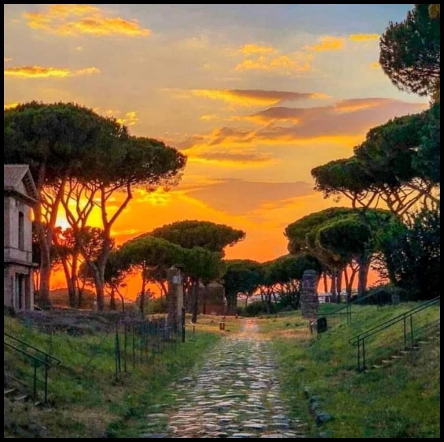 My Bed Vatican Museum روما المظهر الخارجي الصورة